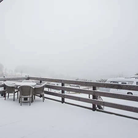 Talblick Auszeit Im Gruenen Mit Hund Апартаменти *